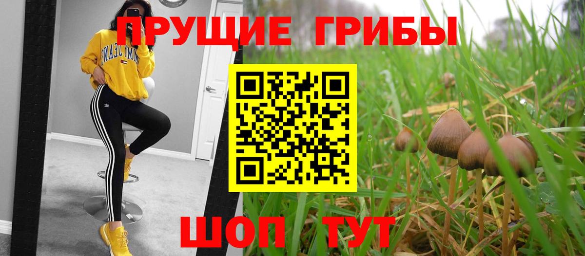 Галлюциногенные грибы Psilocybe  где купить   Миллерово  Псилоцибиновые грибы мухоморы  Вход с VPN 